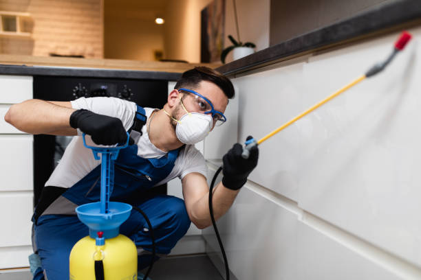 Best Pest Prevention Services  in La Villa, TX
