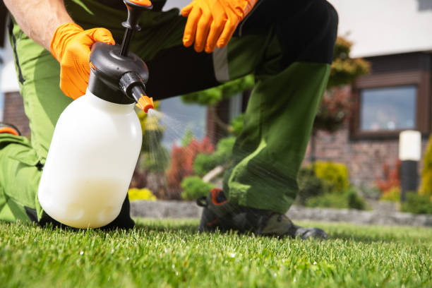 Best Pest Inspection Near Me  in La Villa, TX