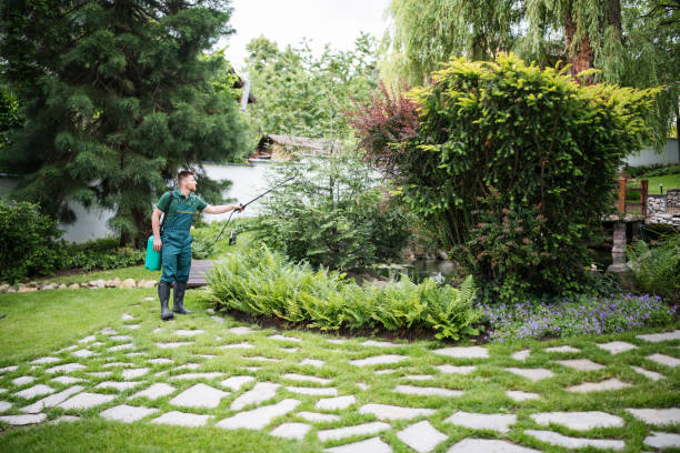 Reliable La Villa, TX Pest Control Solutions