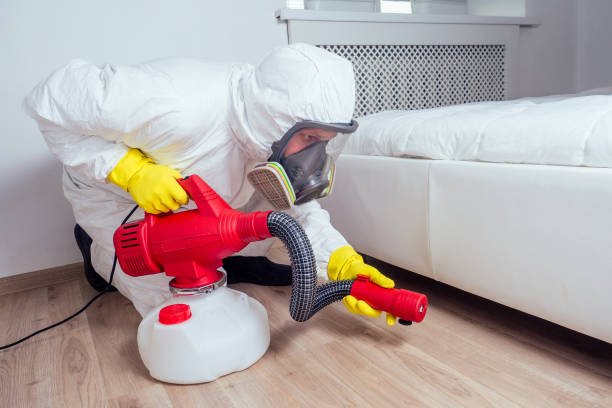 Flea Control Services in La Villa, TX