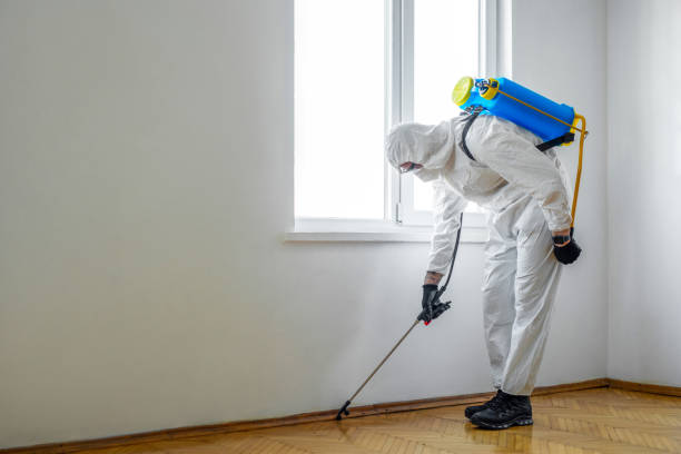 Best Best Pest Control Companies  in La Villa, TX