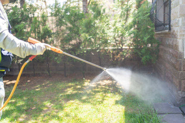 Best Rat Extermination Near Me  in La Villa, TX