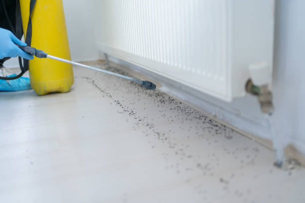 Pest Control Cost in La Villa, TX