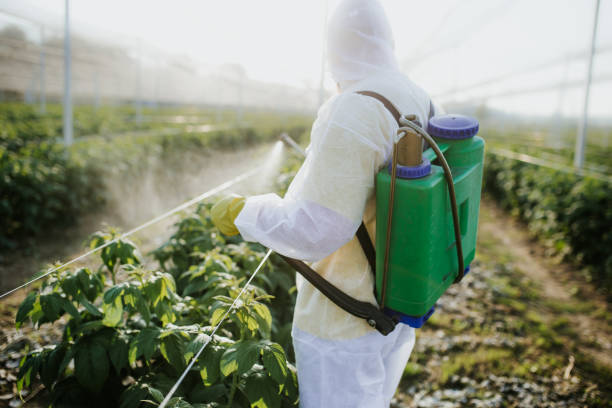 Best Affordable Pest Control Services  in La Villa, TX